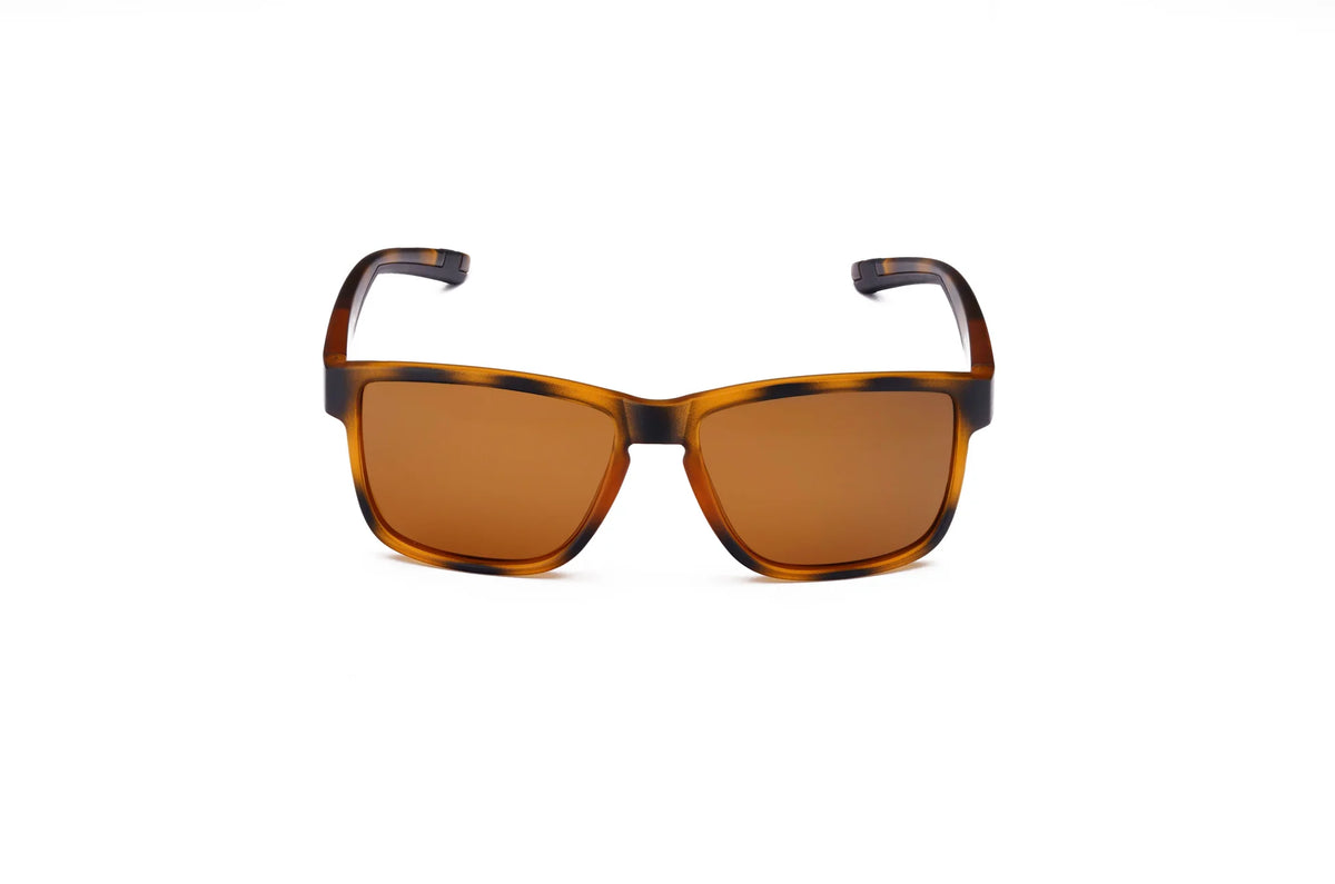 PAYLE Draco TSW lentes deportivos